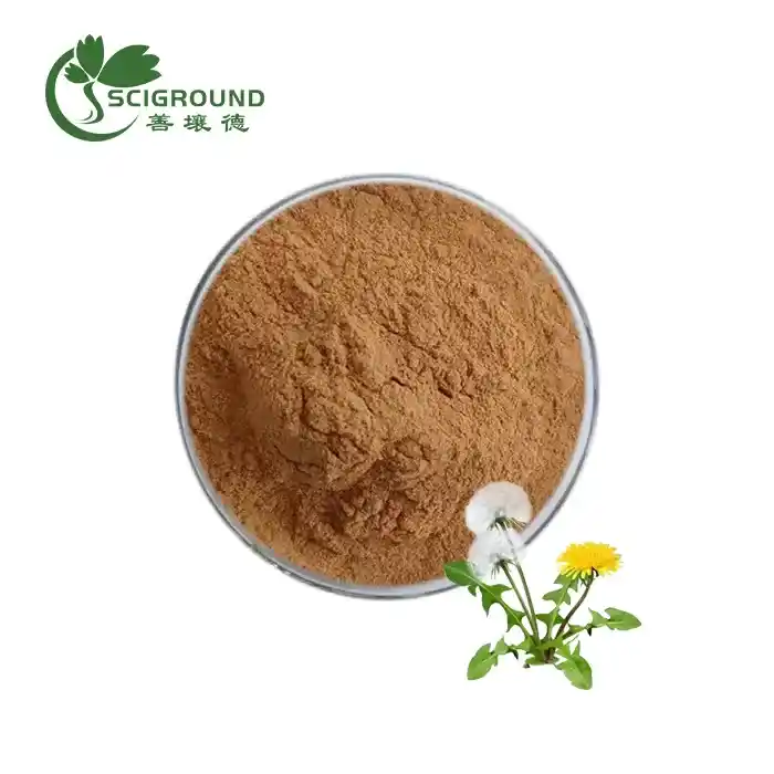 Dandelion Root Extract Powder